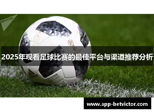 2025年观看足球比赛的最佳平台与渠道推荐分析